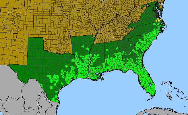 The range of Tillandsia usneoides